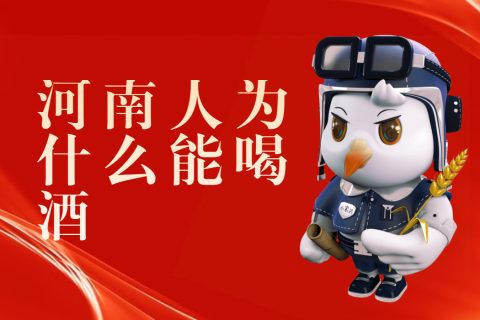 河南人为什么能喝酒？看看人家的酒文化